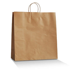 A plain brown kraft paper shopping bag with two top twist handles, shown on a clean white background