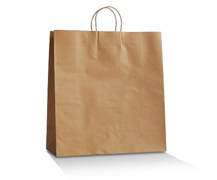 A plain brown kraft paper shopping bag with two top twist handles, shown on a clean white background