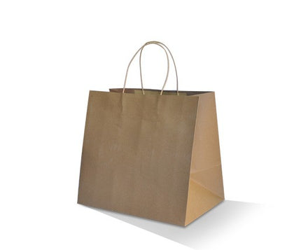A plain brown kraft paper shopping bag with two top twist handles, shown on a clean white background