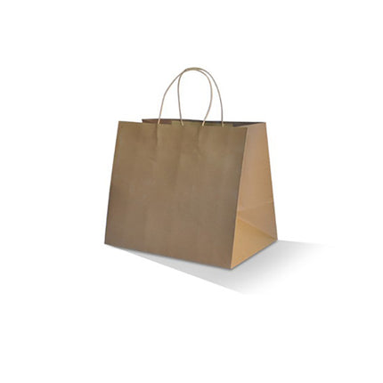 A plain brown kraft paper shopping bag with two top twist handles, shown on a clean white background