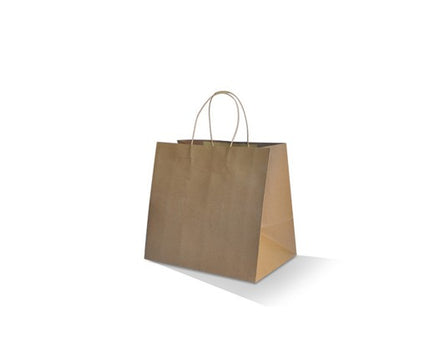 A plain brown kraft paper shopping bag with two top twist handles, shown on a clean white background